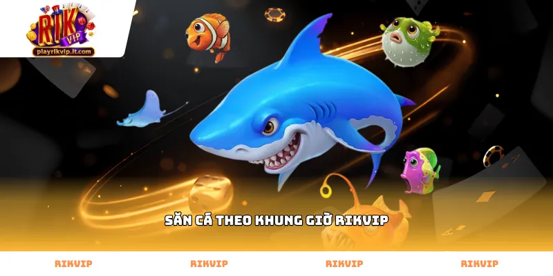 Kỹ thuật săn cá theo khung giờ Rikvip hiệu quả nhất